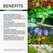 Natural Blood Pressure Support Supplement with Organic Ingredients - 100 Capsules - Buy Online on GoSupps.com