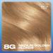 Clairol Nice'n Easy Cr me Oil Infused Hair Dye 8G Medium Honey Blonde - Buy Online on GoSupps.com