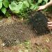 Cat Scat Mat 78inch Cat Repellent Outdoor Cat Deterrent Devices Spikes Mat Include 8 Garden Staples for Garden Fence Anti-Cats Network Bird Squirrel Raccoon Spikes 1 PCS - Buy Online on GoSupps.com