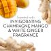 Olay Fresh Outlast Invigorating Champagne Mango & White Ginger Body Wash - 22 oz | Shop Internationally - Buy Online on GoSupps.com
