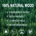 100pcs Disposable Wooden Cutlery Spoons - Eco-Friendly & Biodegradable - 6.4 Inch - Ideal for Events, Camping, Picnics - Buy Online on GoSupps.com