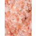 Biojoy Himalayan Pink Salt Crystals (1kg) Natural Salt 2-5mm for Mill Salt Range Pakistan - Buy Online on GoSupps.com