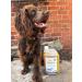 Just Linseed Oil - Natural Pet Supplement - British Cold Pressed Extra Virgin Linseed (Flaxseed) Oil 1 Litre - Buy Online on GoSupps.com