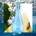 Cool Water for Women EDT Spray 6.7 oz - Davidoff - Buy Online on GoSupps.com