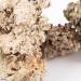 Aquarium Dried Reef Rock Mixed Pack (5kg) 5 kg (Pack of 1) - Buy Online on GoSupps.com