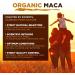 Organic Maca Premium 4 Root Powder 500g - Superfoods 500g (Pack of 1) - Buy Online on GoSupps.com