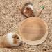 POPETPOP Chick Food Rack | Hamster & Squirrel Food Bowl Holder | Wooden Multifunction Small Dish for Guinea Pig & Small Pets - Buy Online on GoSupps.com