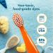 RADIUS Totz Extra Soft Toothbrushes for Kids 18+ Months | BPA Free, ADA Accepted, Pack of 3 (GreenCoralYellow) - Buy Online on GoSupps.com
