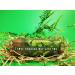 The English Soap Company Mythical & Wonderful Collection Sloth Soap Bar 200g - Buy Online on GoSupps.com