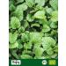  Biojoy Biojoy Organic Lemon Balm Leaves (250 g) dried and cut Lemon Balm Tea (Melissa officinalis) - Buy Online on GoSupps.com