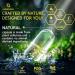 Organic Lions Mane Supplement Capsules - 120 Real Mushrooms Lion's Mane Capsules with Ginkgo Biloba Herb Bacopa Monnieri L Theanine L Tyrosine - Mushroom Complex for Daily Wellness 120 Count (Pack of 1) - Buy Online on GoSupps.com