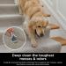 Shark CarpetXpert Deep Clean Pro Formula for Shark Upright & Portable Carpet Cleaners eliminates Tough pet Messes and odours 48oz EXCM48C (Canadian Version) - Buy Online on GoSupps.com