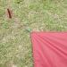 MSR Universal 6-Person Tent Footprint Tarp Large - Red | 117 x 97 Inches - Buy Online on GoSupps.com