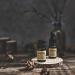 Luxury Santal Diffuser Oil - Amber, Coco Vanilla, Cedar, Sandalwood & Musk Blend - 0.33 Fl Oz - Buy Online on GoSupps.com