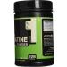 Optimum Nutrition Micronized Creatine Powder 1200g | Premium Quality Creatine for Enhanced Performance | Buy Internationally - Buy Online on GoSupps.com