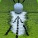 Premium Birdie Mat: Swing Training Mat for Precise Swing Path Analysis and Ball Impact Assessment - Buy Online on GoSupps.com