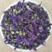 Health Embassy Common Mallow Flower/Mauve Sylvestre Fleur (Malva sylvestris L.) (50g) - Buy Online on GoSupps.com