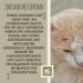 Liver Trans Zinc Ointment for Dogs Cats & Horses | Zinc Paste for Open Wounds Eczema & Itching Relief - Buy Online on GoSupps.com