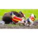 CANIHUNT Dog Protection Vest - Dog Armor v2 (65) | Premium Safety Gear for Your Dog - International Shipping Available - Buy Online on GoSupps.com