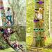 NAQIER Ninja Tree Climbing Holds with Ratchet Straps - Outdoor Ninja Warrior Course for Kids - Buy Online on GoSupps.com