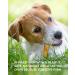 Canine Naturals Chicken Recipe Chew - 5 Stick Pack - USA Raised, All-Natural Dog Treats - Collagen and Rawhide Free (Pack of 10) - Buy Online on GoSupps.com