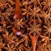 100% Natural Star Anise - Herbal Infusion - Herbal Tea - Vegan Anise - NCA (50) - Buy Online on GoSupps.com