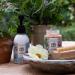 Heathcote & Ivory In the Garden Hand Care Gardener Gift Set | 140ml Hand Cream 120ml Hand Scrub & Nail Brush | Enriched With Essential Oils | Cruelty Free & Vegan Friendly 476 g (Pack of 1) Gardener Gift Set - Buy Online on GoSupps.com