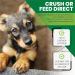 Senior Dog Joint Supplements - Glucosamine & Chondroitin - Pain Relief & Mobility Support - 120 Chicken Flavour Tablets - Buy Online on GoSupps.com