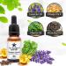 Canker Sore Treatment Serum - Effective Mouth Ulcer Relief (30 mL) - Buy Online on GoSupps.com