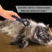 Decendo Subfell Brush for Dogs & Cats - Perfect for Medium to Long Hair | Knotting Prevention & Easy Grooming | Undercoat Brush M-L in Blue - Buy Online on GoSupps.com