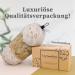 Myhomebody Large 70g Luffashwamm - Gentle Peeling Body Scrubber & Shower Sponge with Activated Carbon | 3 Pack: 2 Oat Milk & 1 Caramel - Buy Online on GoSupps.com