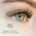 Sudden Change Eyelid Lifter Cream - Reduce Wrinkles & Drooping, Lift and Firm for Youthful Eyes - Antioxidant Formula, Makeup Friendly - 0.5 oz - Buy Online on GoSupps.com