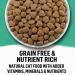 Beyond Grain Free Natural Dry Cat Food Wild-Caught Whitefish & Free Run Egg - 5 kg Bag 5 kg (Pack of 1) - Buy Online on GoSupps.com