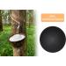 POLUM Massage Ball - Premium Lacrosse & Fascia Ball 6cm - 100% Natural Rubber for Pain Relief & Muscle Recovery - Buy Online on GoSupps.com