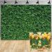 Msocio 7x5ft Durable Polyester Fabric Spring Greenery Leaves Grass Nature Photography Backdrop for Birthday Wedding Safari Dinosaur Baby Shower Party Decorations Background Portrait Photo Booth 7'x5'