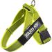Julius-K9 Belt Harness M/0 Neon Grey | Premium Dog Harness for Comfort & Safety | International Shipping Available - Buy Online on GoSupps.com