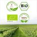 Curly Superfood Organic Chlorella Powder 500g - 100% Pure & Natural - Raw Food Quality for Smoothies Juices & Recipes - International Shipping Available - Buy Online on GoSupps.com