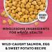 Beyond Grain Free Natural Dry Cat Food Indoor Cat Wild-Caught Salmon & Egg - 2.26 kg Bag 2.26 kg (Pack of 1) - Buy Online on GoSupps.com