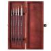 Princeton Artist Brush Kolinsky Sable Collectors Set 5 -Piece