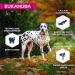 Eukanuba Dog Grain Free Adult L Chicken 3 kg - Buy Online on GoSupps.com