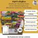 Alphfa Bigbox: 20 Asian Instant Pasta & Ramen Soups - Perfect Gift Box with Chicken Beef & Shrimp Varieties - Buy Online on GoSupps.com