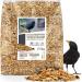 wildtierherz | Blackbird Food - Special with Berries and Fruits I Premium Quality Outdoor Wild Bird Seeds