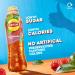 Lipton Ice Tea Framboise Still Lot de 12 boissons gazeuses 500 ml - Buy Online on GoSupps.com