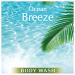 Suave Essentials Body Wash Ocean Breeze - 15 Fl Oz | Hydrating & Refreshing Clean | Buy Now for International Shipping - Buy Online on GoSupps.com