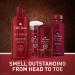 Old Spice Men's Anti-Perspirant Deodorant Dynasty Cologne Scent 2.6 Oz - Pack of 3 | 48-Hour Protection - Buy Online on GoSupps.com