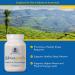 Ayush Herbs Ashwagandha Supplement - 60 Capsules - Buy Online on GoSupps.com