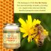 Y.S. Organic Bee Farms 100% Certified Y.S. Organic Raw Honey Unpasteurized Unfiltered Fresh Raw State Kosher Pure Natural Healthy Safe Gluten Free Harvested with Extreme Care 2 Lb (4) - Buy Online on GoSupps.com
