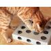 Unique Design - Interactive Indoor Cat Toy Puzzle Box As Seen on Channel 5 s The Secret Life of Kittens - Four Cat Toys Included 3 Balls and a Mouse Best Gift for any Cat Kitten or Their Owner! - Buy Online on GoSupps.com