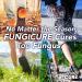 FUNGICURE Intensive Antifungal Treatment Spray - Kills 6 Types of Fungus, Soothes Itching & Burning - 2 Fl Oz - Buy Online on GoSupps.com