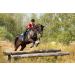 Equine Synergy 'Movin' and Groovin' JOINT COOKIES with TURMERIC to Help Improve Mobility- - Buy Online on GoSupps.com